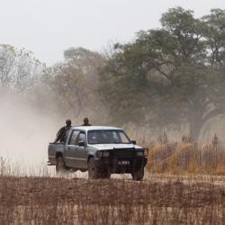 Séjour de Chasse au Sénégal - El Francolino - GOULOUMBOU
