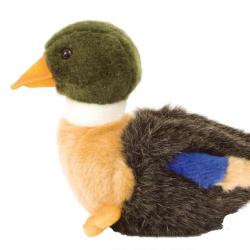 Peluche canard