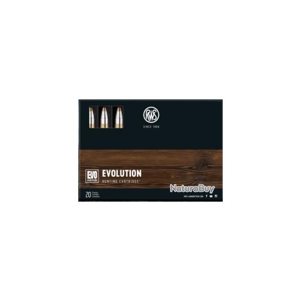 Munitions RWS 9,3x74r evo 18.8g 291gr par 20