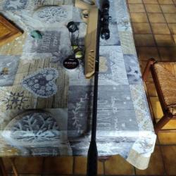 Carabine à plomb 4,5 de précision avec lunettes 4x32 cm 20 joules