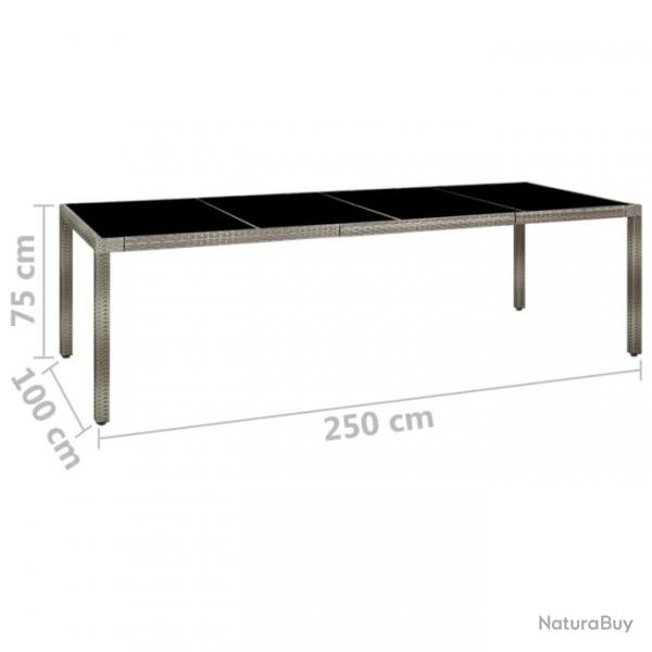 Table de jardin Gris 250x100x75 cm Verre tremp et poly rotin 316727