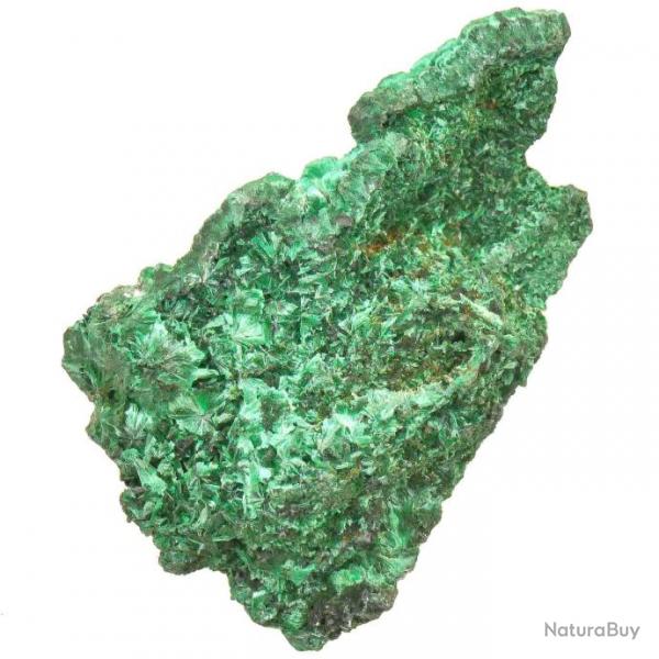 Malachite cristallise fibreuse - Qualit extra - A l'unit 61  80 grammes