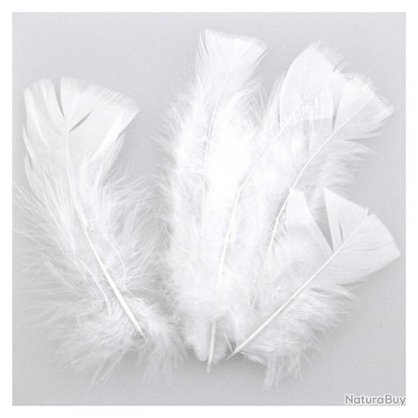 Plumes pied plat de dinde - 5 grammes  Blanc