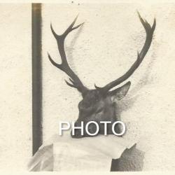Photo ancienne chasse 1912 - Trophée Tête de cerf