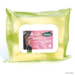 Easy shine whipe