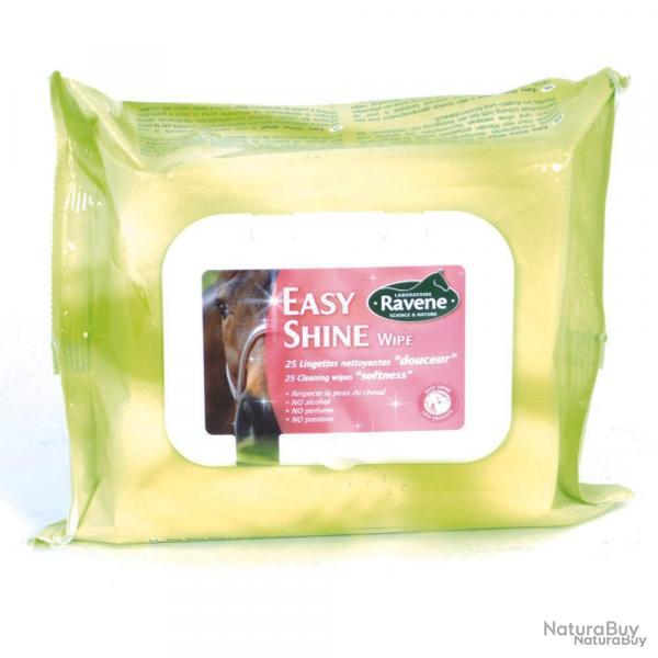 Easy shine whipe