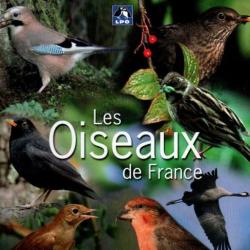 les oiseaux de france , 1 classeur atlas oiseaux des lacs, des marais et des cours d'eau