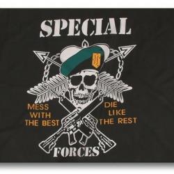 Drapeau US Special Forces