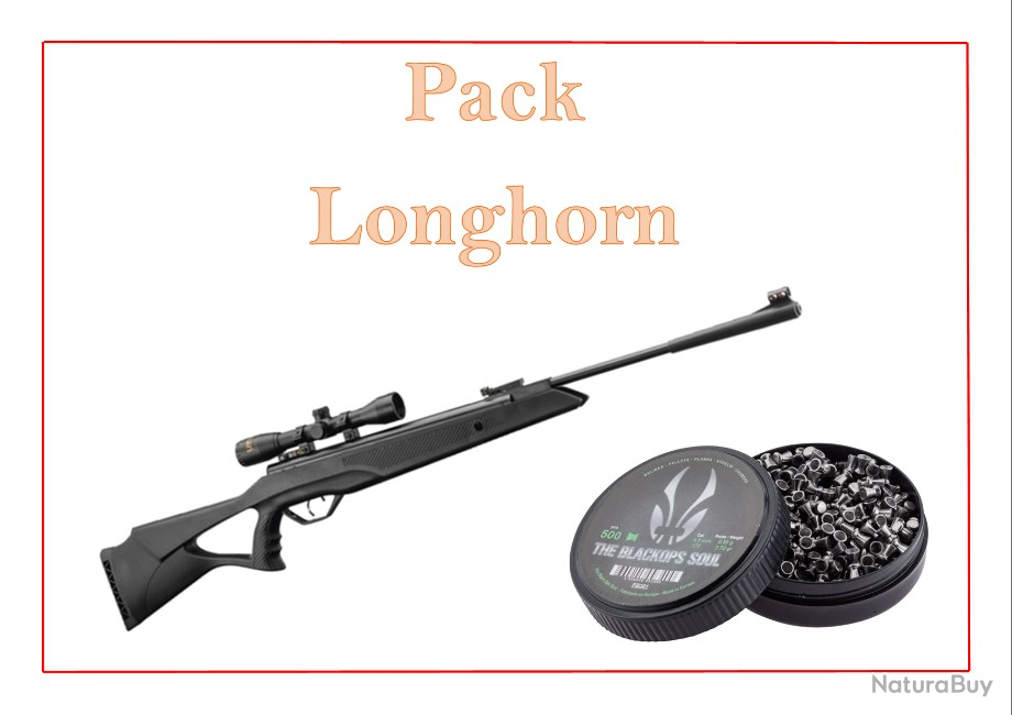 Pack Carabine 19,9J Longhorn cal. 4,5 mm + Cibles + 500 Plomb + fourreau -  Carabines à plomb moins de 20 joules (9395896)