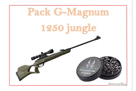 Carabine à plombs GAMO G-Magmum - 4,5 mm - 36 joules