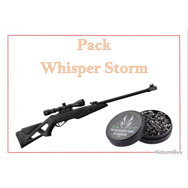 Pack Carabine Gamo 19.9J whisper Storm cal. 4,5 mm + 500 Plombs