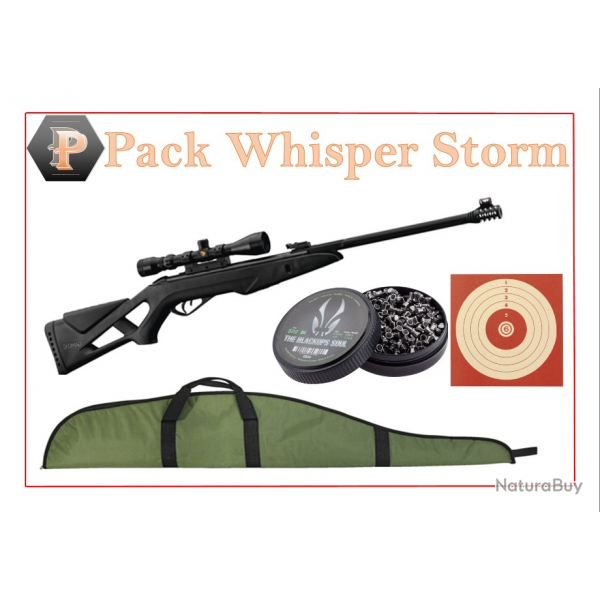 Pack Carabine Gamo 19.9J whisper Storm cal. 4,5 mm + Plombs + cibles + fourreau