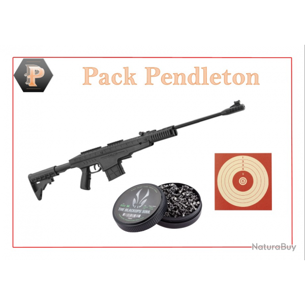 Pack Carabine 19,9J Pendleton cal. 4,5 mm + Cibles + 500 Plomb
