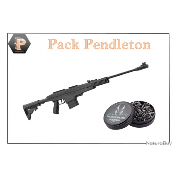 Pack Carabine 19,9J Pendleton cal. 4,5 mm + 500 Plomb
