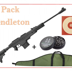 Pack Carabine 19,9J Pendleton cal. 4,5 mm + Cibles + 500 Plomb + fourreau