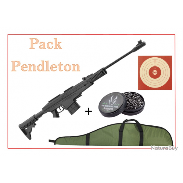 Pack Carabine 19,9J Pendleton cal. 4,5 mm + Cibles + 500 Plomb + fourreau
