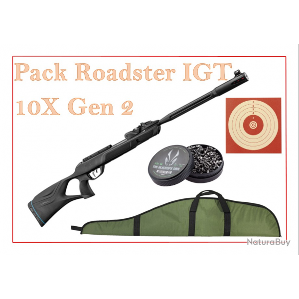 Pack Carabine 19,9J ROADSTER IGT 10X GEN2 cal.4,5 mm+ 100 Cibles + 500 Plombs + fourreau