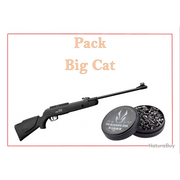 Pack Carabine Gamo 19.9J Big cat cal. 4,5 mm + 500 Plomb