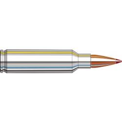 MUNITIONS HORNADY OUTFITER CALIBRE 300 WSM CX 180GR PAR 60