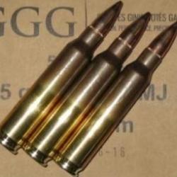 Munition cartouches à balles GGG cal.223 Rem 5.56x45 FMJ 55gr GGG par 500 10 Boîtes de 50 cartouches