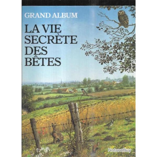 la vie secrte des btes grand album michel cuisin illustrations carl brenders