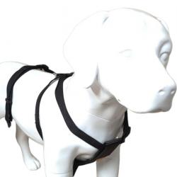 Harnais de sécurité taille L pour chien en voiture