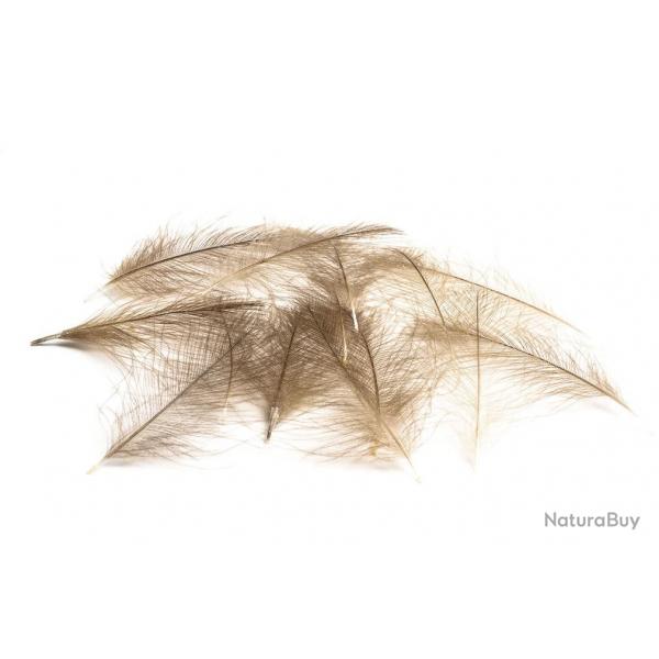 CUL DE CANARD SELECT Kaki