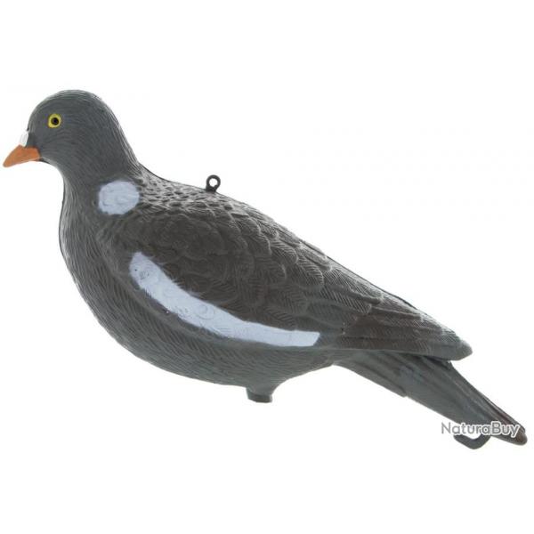 Appelant pigeon ramier sans pattes