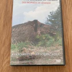 DVD chasse sanglier turquie