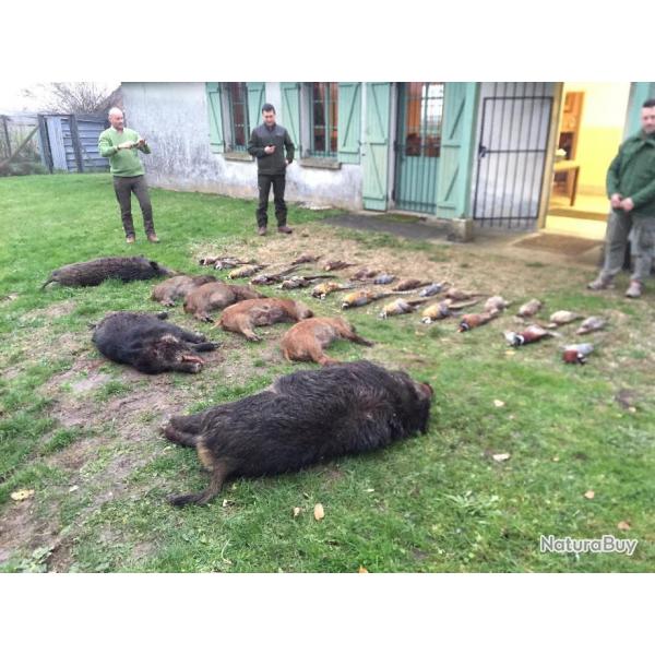 CHASSE EN NORD SEINE ET MARNE