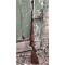 petites annonces chasse pêche : RARE MAUSER 66 1er MODELE 2ème type calibre 308 Winchester
