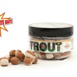 Promo: Nuggets Flottants Dynamite Baits Trout Honey worms & trout pellet