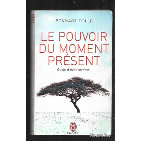 le pouvoir du moment prsent d'eckhart tolle j'ai lu bien tre