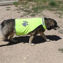 Gilet jaune pour chien chèvre animaux gilet de sécurité pour être vu! jaune fluo