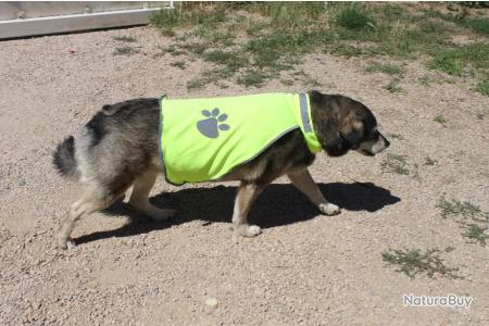 Gilet jaune pour chien chèvre animaux gilet de sécurité pour être vu! jaune  fluo