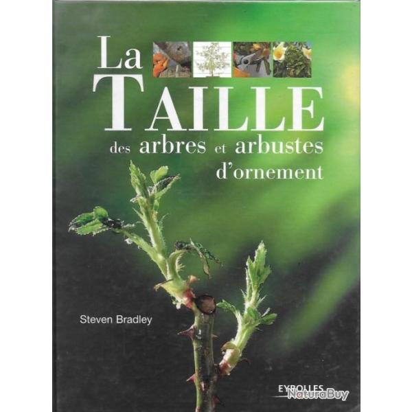 La taille des arbres et arbres d'ornement