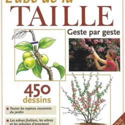 L'ABC de la taille