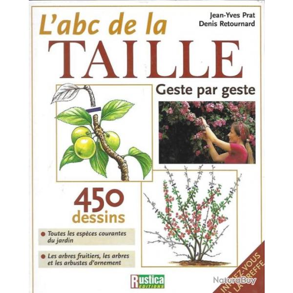 L'ABC de la taille