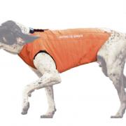 manteau kevlar chien