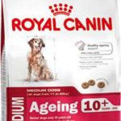 MEDIUM AGEING 10+ 15KGS