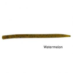 DP-24 ! Leurre souple Daiwa Prorex Skinny Worm - 10 cm Watermelon - Watermelon