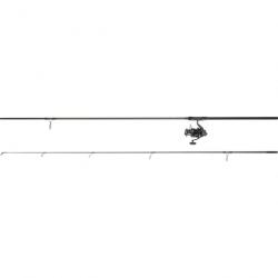 Ensemble carpe Daiwa 14/15 - 3.66 m