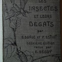 Les Insectes Et Leurs Dégâts