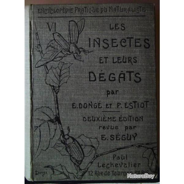 Les Insectes Et Leurs Dgts