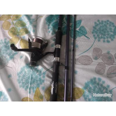 canne moulinet GTPRO Carp 362 LR