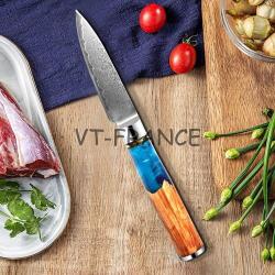 Couteau Cuisine Pro Lame Damas Japon 67 Couches, Modele: Trancheur 23cm