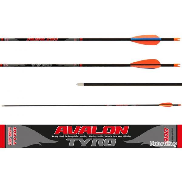 Flche Avalon Tyro 4.2 en carbone 600 31" 90grains