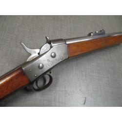 Pour les collectionneurs, Carabine ROLLING BLOCK Suèdois 1867, catégorie D, vente libre!!!