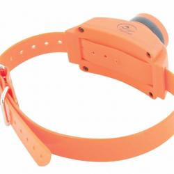 Collier de repérage SportDog Beeper