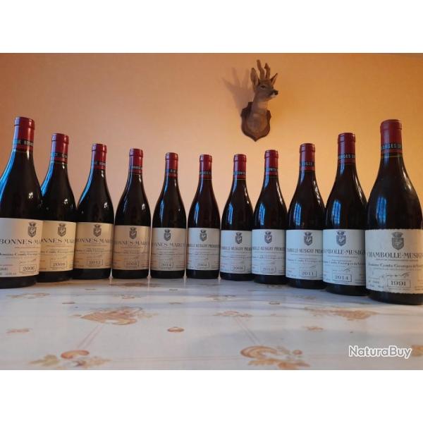 Lot de 11 bouteilles de vin Bourgogne Chambolle-Musigny